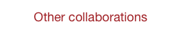 Other collaborations